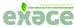 EXAGE Logo