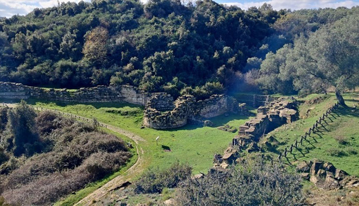 Tirocini in presenza/sul campo